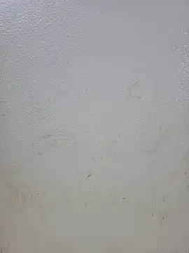 Snapshot of titooritax chatting on 10/16/25, 09:49 titooritax online show from 10/16/25, 09:49