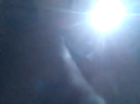 S C1 online show from 02/05/26, 02:11