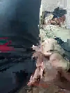 svvagesexyy online show from 01/13/26, 07:41