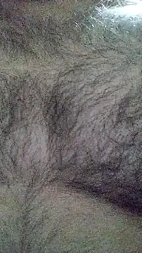 LeoMaduroSP online show from 01/16/26, 07:45