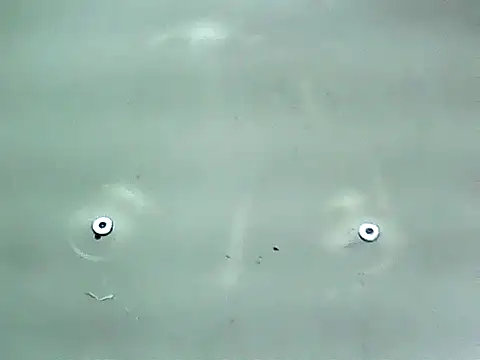 20cmloiro online show from 01/15/26, 12:59