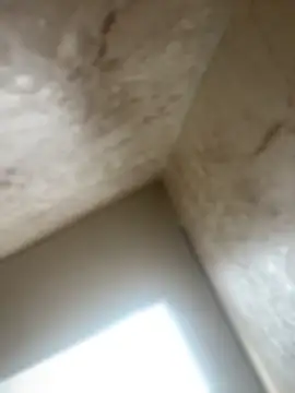 Noa Todokoro online show from 10/16/25, 03:02