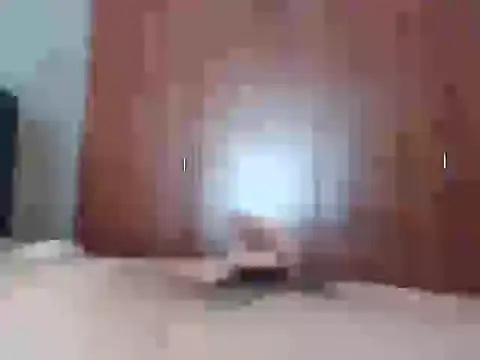 Snapshot of Culazodeantonellarocuzzo chatting on 02/25/26, 03:21 Culazodeantonellarocuzzo online show from 02/25/26, 03:21