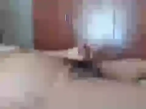 Snapshot of Culazodeantonellarocuzzo chatting on 02/26/26, 03:44 Culazodeantonellarocuzzo online show from 02/26/26, 03:44