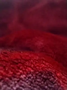 saneer69tew online show from 02/26/26, 06:12