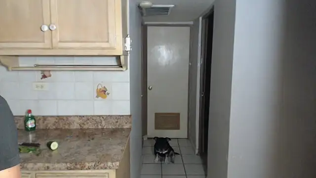 BlondZilla online show from 11/17/25, 12:49