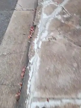 dickcurved38 online show from 02/20/26, 04:53