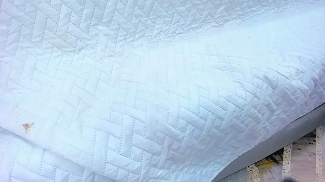 crystal sm online show from 02/13/26, 03:13