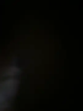 JJG327 online show from 06/01/26, 04:14