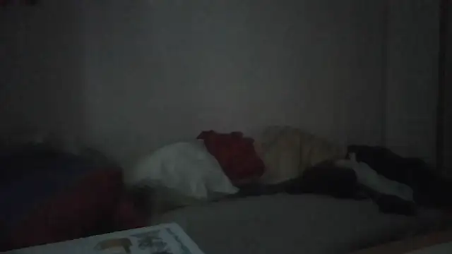 ARTANIS20 online show from 01/11/26, 07:35