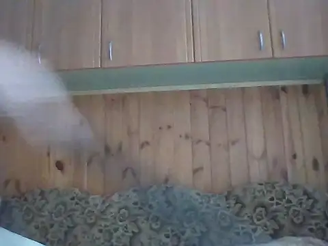 Snapshot of Maksymilian1 chatting on 02/22/26, 09:41 Maksymilian1 online show from 02/22/26, 09:41