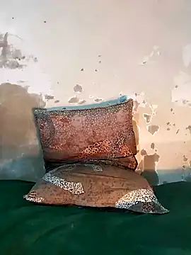 Snapshot of ParousFlow chatting on 12/18/25, 08:26 ParousFlow online show from 12/18/25, 08:26