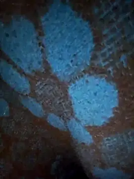 Snapshot of ParousFlow chatting on 01/19/26, 12:42 ParousFlow online show from 01/19/26, 12:42