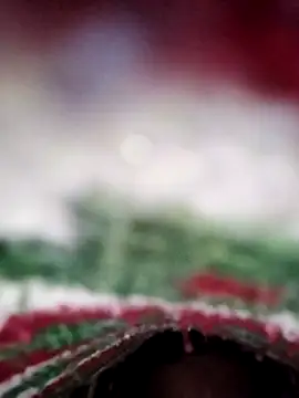 Snapshot of ParousFlow chatting on 02/13/26, 11:28 ParousFlow online show from 02/13/26, 11:28