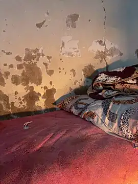 Snapshot of ParousFlow chatting on 03/14/26, 01:23 ParousFlow online show from 03/14/26, 01:23