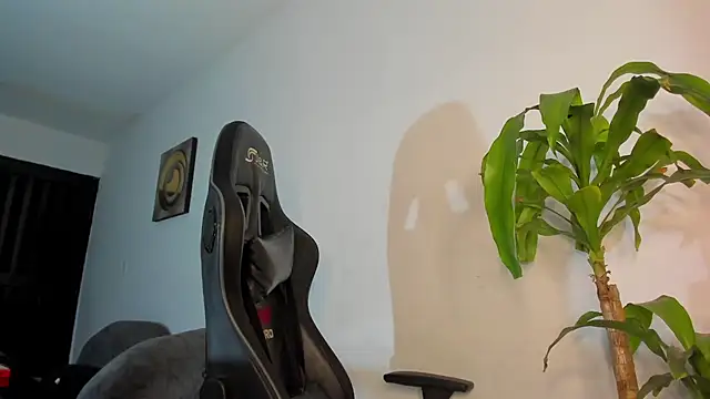 LoganTwink18 online show from 12/17/25, 09:26