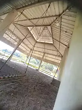 Desi Horny Boys online show from 10/21/25, 08:26