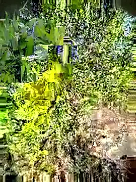 Desi Horny Boys online show from 05/03/26, 03:12