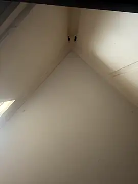 Snapshot of curis4270panda chatting on 11/26/25, 01:50 curis4270panda online show from 11/26/25, 01:50