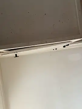 Snapshot of curis4270panda chatting on 02/15/26, 07:54 curis4270panda online show from 02/15/26, 07:54