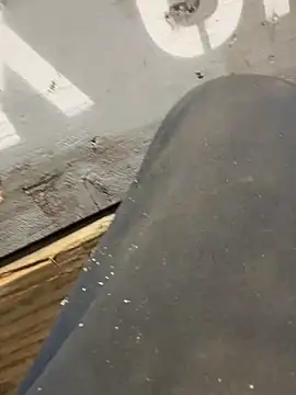 Snapshot of curis4270panda chatting on 02/16/26, 08:05 curis4270panda online show from 02/16/26, 08:05