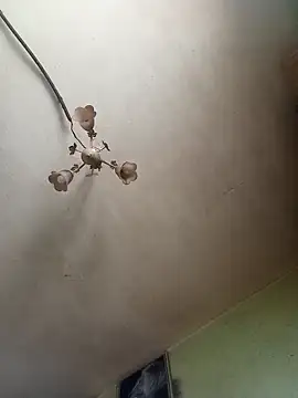 ToughDraft14 online show from 04/27/26, 05:16