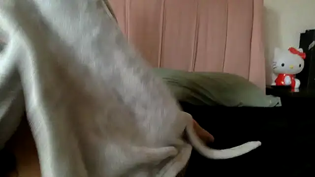 Akanett cxtt online show from 10/11/25, 08:51