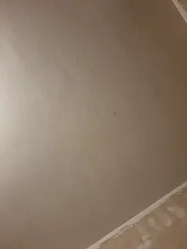 gazb90 online show from 01/14/26, 08:03