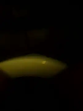 Cock4LadiesONLY online show from 10/11/25, 02:48