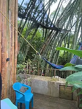 Rose-andres online show from 02/01/26, 07:34