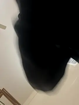 zack6x online show from 12/02/25, 03:40