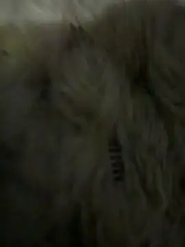 anonimgirl18old online show from 03/06/26, 05:09