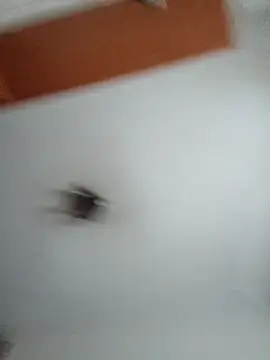 Hottiesophie online show from 03/25/26, 04:13