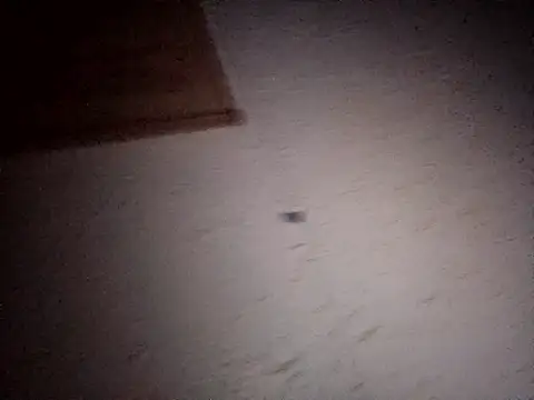 Hottiesophie online show from 04/11/26, 08:02