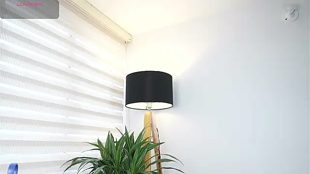 Snapshot of DeusbelliS chatting on 10/14/25, 08:31 DeusbelliS online show from 10/14/25, 08:31