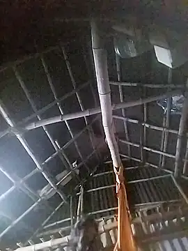 Tamilauntyhot online show from 11/19/25, 04:23