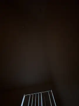 julio p online show from 02/14/26, 11:23