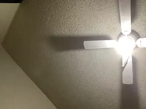 Snapshot of NiftyCaptain3 chatting on 03/31/26, 03:45 NiftyCaptain3 online show from 03/31/26, 03:45