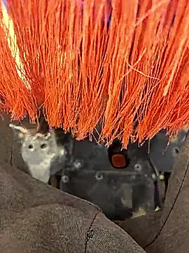 Telugu person12 online show from 01/12/26, 07:57