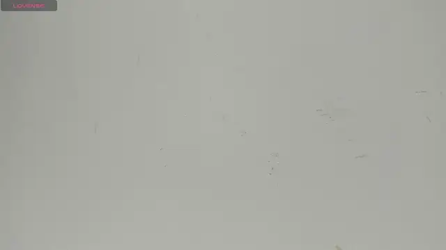 Snapshot of Sophia_Ebony chatting on 06/22/26, 12:24 Sophia Ebony online show from 06/22/26, 12:24