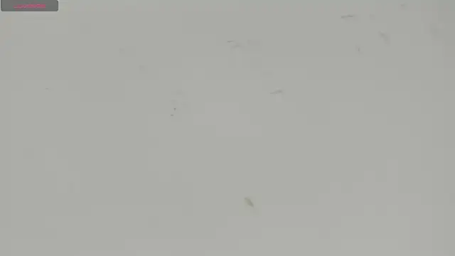 Snapshot of Sophia_Ebony chatting on 07/15/26, 12:10 Sophia Ebony online show from 07/15/26, 12:10