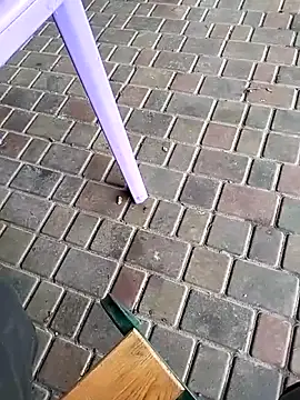 Snapshot of Odecca11 chatting on 11/23/25, 08:25 Odecca11 online show from 11/23/25, 08:25