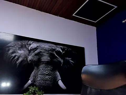 king falconer online show from 01/15/26, 02:16