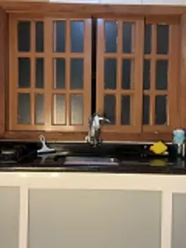 Casalmasc online show from 04/15/26, 01:23