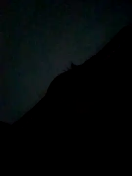 Snapshot of CatchingBouquet chatting on 09/21/25, 07:37 CatchingBouquet online show from 09/21/25, 07:37