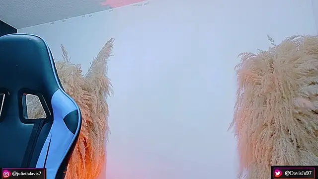 JulietaDavis online show from 04/29/26, 02:04