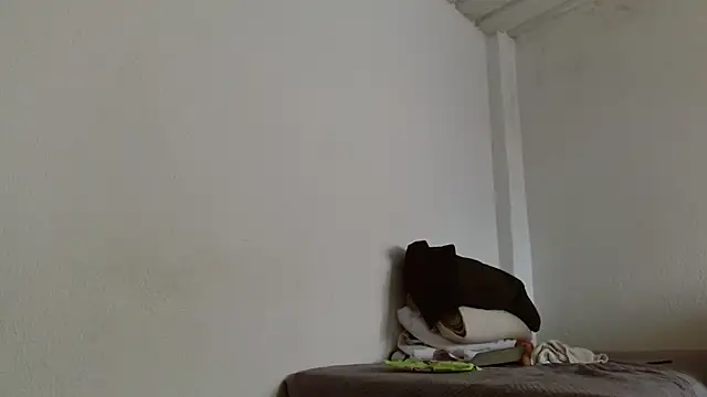 isabel 24 gil online show from 11/13/25, 04:50