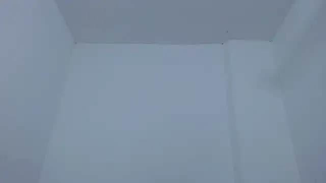 carolina zabala 19 online show from 12/17/25, 07:20