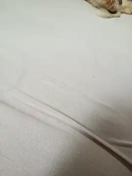 SIGILOCUIABA online show from 01/17/26, 01:49