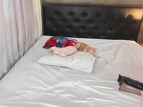 hotbabymaria online show from 11/14/25, 01:26